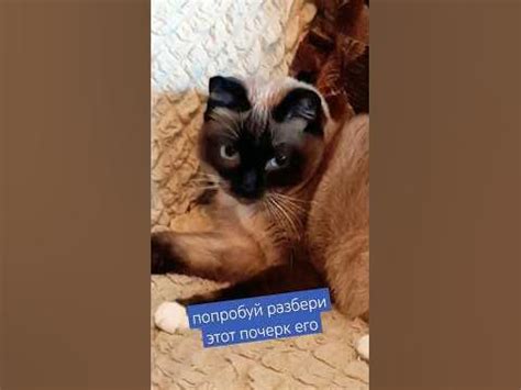 Неразборчивый почерк! - YouTube