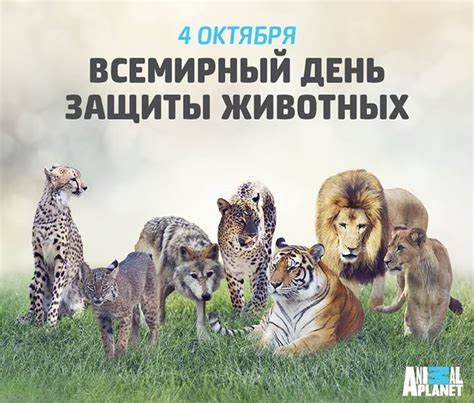 Книжный городок: Всемирный день защиты животных