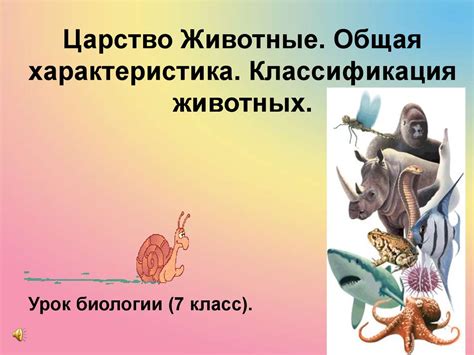Царство животные. Общая характеристика. Классификация животных ...