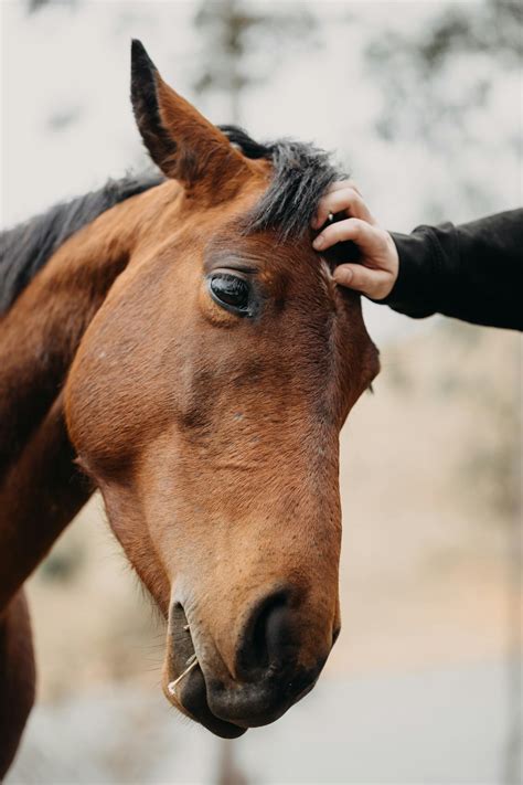 Beautiful+Natural+Breast+Lesbians Photos, Download The BEST Free