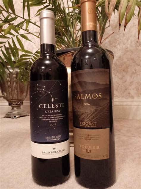 The Cambridge Wine Blogger: Two Torres Wines from Spain