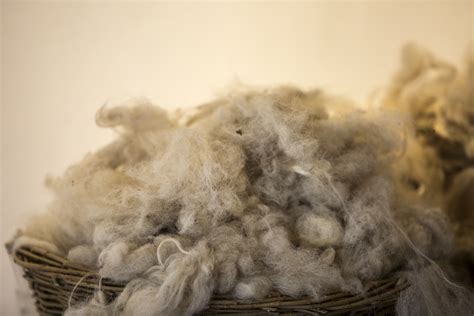 Shaven Wool In Basket Free Stock Photo - Public Domain Pictures