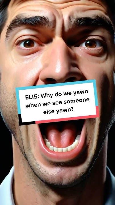 Why we Yawn #motivation #funfacts #philosophy #quotes - YouTube