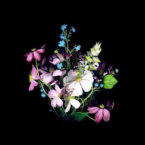 Floral MacBook Wallpapers - Top Free Floral MacBook Backgrounds