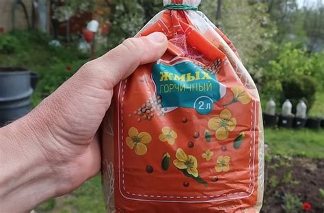 Припорошите междурядья моркови самой простой подкормкой и увидите какой ...