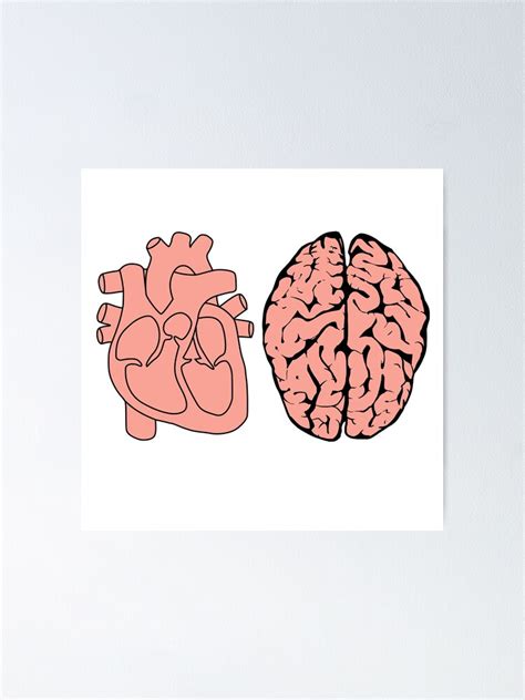 "heart and brain anatomy" Poster for Sale by viyann | Redbubble