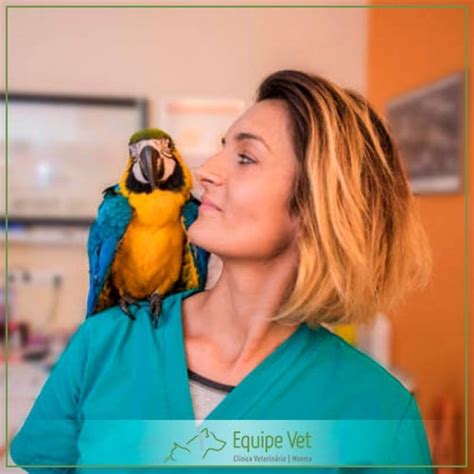 Veterinário De Aves Perto De Mim - 8