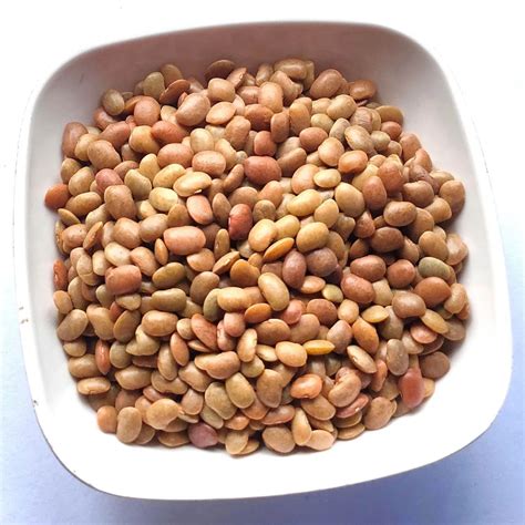 Kulthi Dal | Horse-Gram | Macrotyloma Uniflorum | in Herbs | SANSKRITI ...