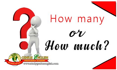 Diifference-between-how-many-and-how-much – Learn English in the ...