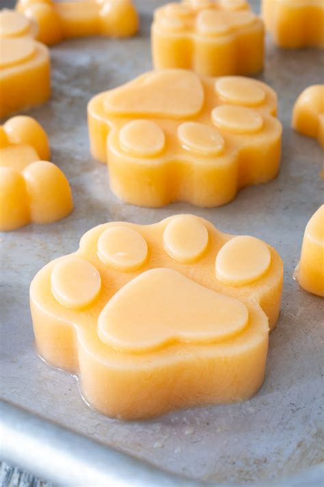 Dog Treats | For the Love of Cooking