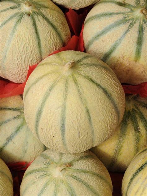 Muskmelon vs Cantaloupe: What’s The Difference?