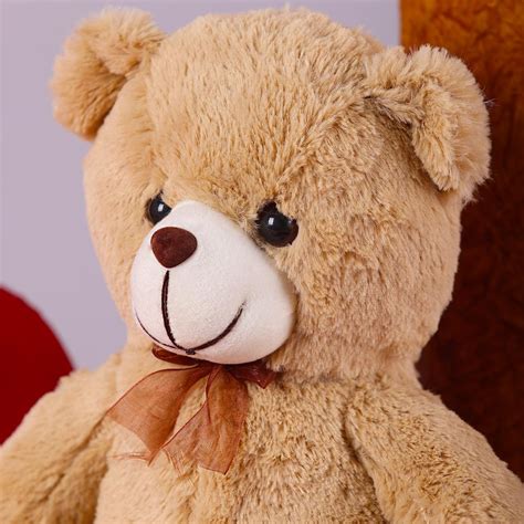 cute teddy winni