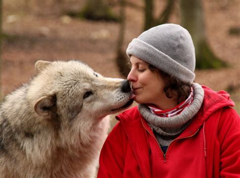 Wolves can also be man's best friend, scientists say
