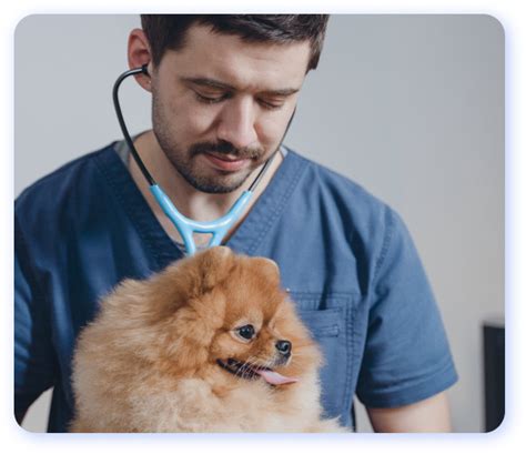 Ветеринарный ЭКГ аппарат PetNet ECG купить по выгодной цене с доставкой