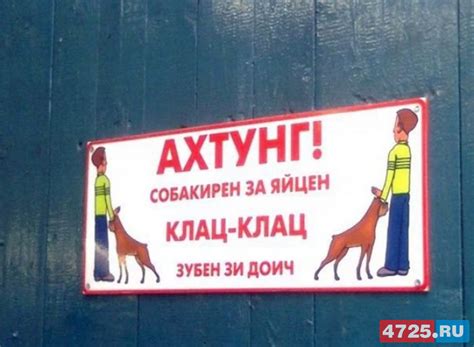 Ахтунг! Злюкен собакен. Яйцен клац-клац