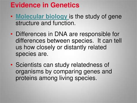 PPT - Biological Evidence of Evolution PowerPoint Presentation, free ...