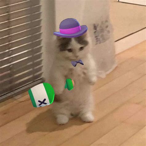 Standing cat meme - Barley : r/Brawlstars