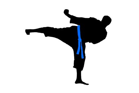 shotokan studio group classes basic custom educational content