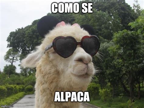 cool llama Memes - Imgflip