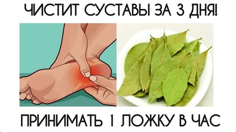 Как сделать ОТВАР из ЛАВРОВОГО ЛИСТА, который ПОЧИСТИТ СУСТАВЫ и ...