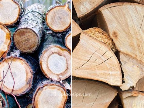 What is Seasoned Firewood? (Explained) – Fireplace Tips