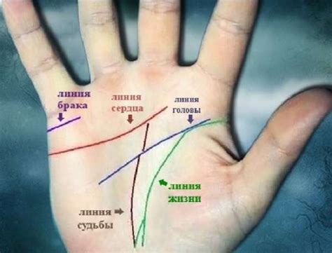 Линии на руках и их значение — тайны хиромантии