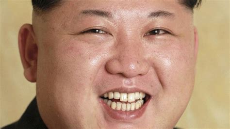 north korea executed top minister south korea  bbc news