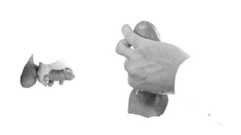 How to Dry Jelq | Penis Squats