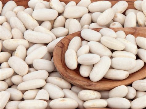 Фасоль сорт «Белая длинная» | Beans Natur Product