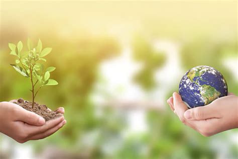 meio ambiente resypar