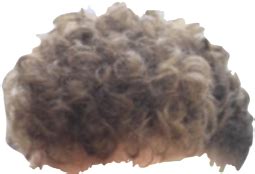 zoomer perm Blank Template - Imgflip