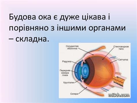 Кришталик
