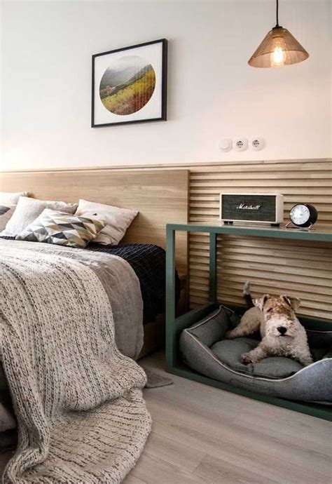 Ideias De Cama Para Cachorro - Cama para Cachorro: Como escolher, Como Fazer e 50 Fotos de Modelos | 犬, 動物