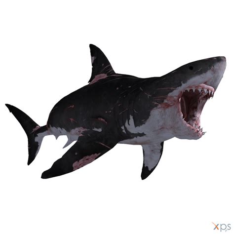 The Depth - Great White Shark (Battle Scars) by MrUncleBingo on DeviantArt