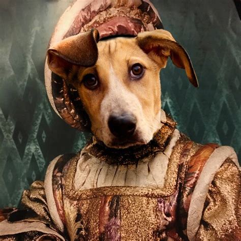 Awkward Family Photo - Etsy