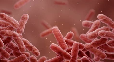 fda recommend  antibiotic   fatal pneumonia