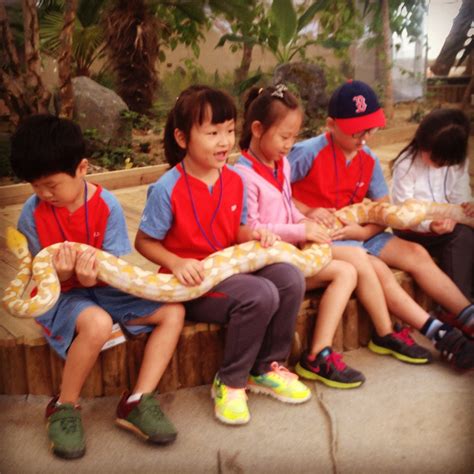 Huge Snakes & Korean Camping (aka BBQ and Soju for days