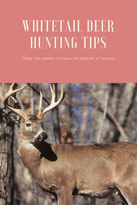 Whitetail Deer Hunting Tips Book Cover