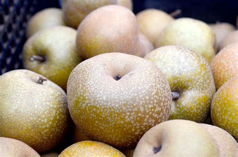 green nashi health advice health pear varieties