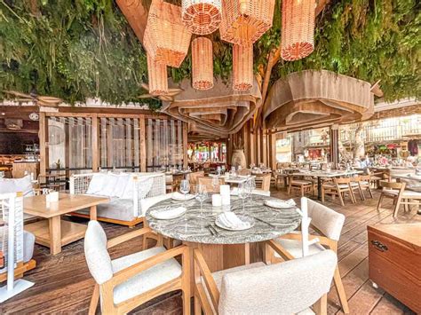 10 Best Restaurants for Fine Dining in Playa del Carmen (2024)