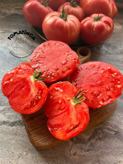 Земляника лесная от бабы Тони – Tomatinсa.ru