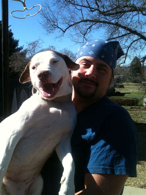 Exploring The Fascinating World Of Roc And Shay Wiki