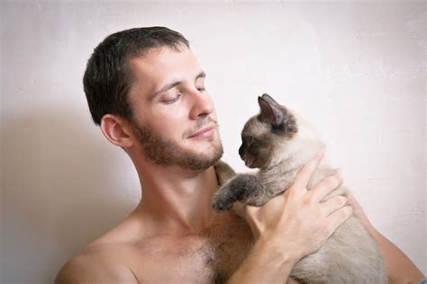 Hilarious Moment Cat Meets Owner's Boyfriend: 'Protective Queen' - Newsweek