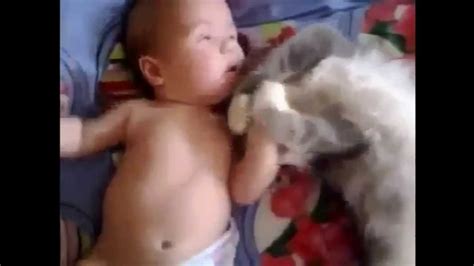 Юмор коты дети собаки - YouTube