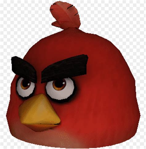 angry birds red roblox PNG image with transparent background | TOPpng