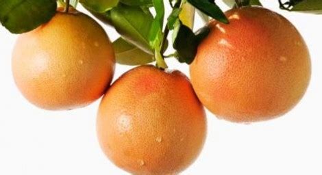 Экстракт косточек грейпфрута: безопасное антимикробное средство