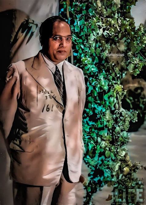 babasaheb ambedkar original coloured image en