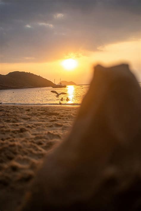 Animated Sunset Photos, Download The BEST Free Animated Sunset Stock ...