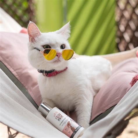 I LOVE MY PET Крем для лап и носа для собак и кошек с ланолином ...