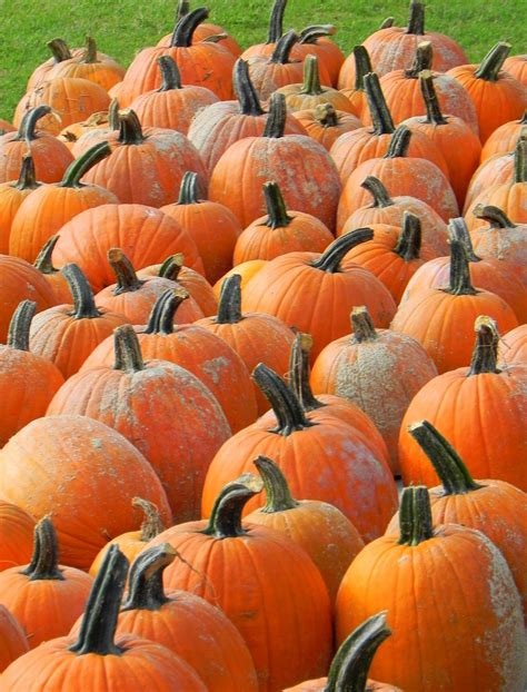 Hd pope funeral roanoke rapids services honor local community leaders 22